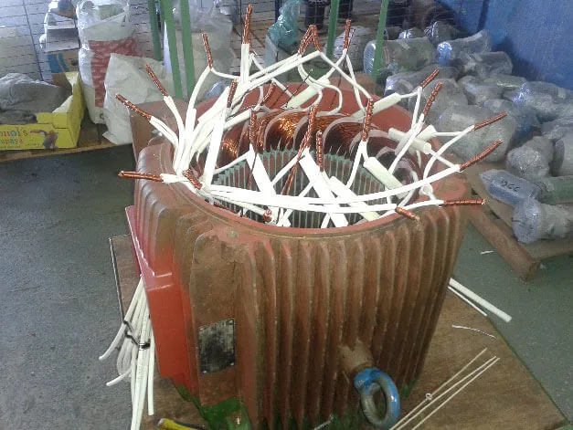 Motor de indução trifásico